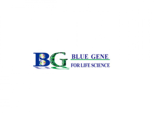 Bluegene (China)