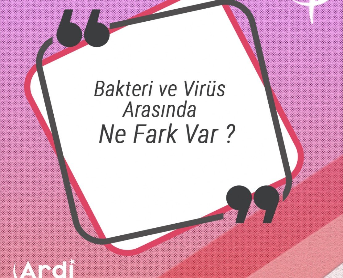 Bakteri ve Virüs Arasında Ne Fark Var?