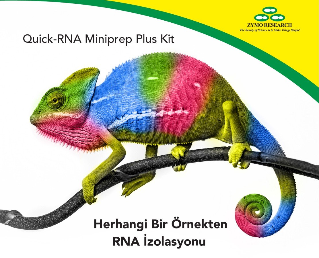 RNA İzolasyon Kitleri