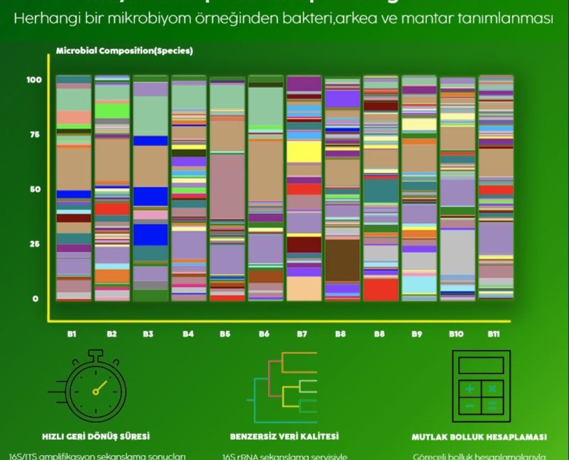 16S/ITS Mikrobiyota Hizmeti