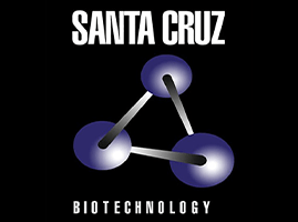 Santa Cruz  (USA)