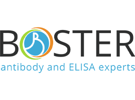 Boster Biologicals (USA)