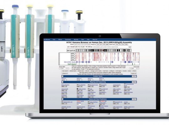 Genome-Wide DNA Hydroxymethylation Analysis