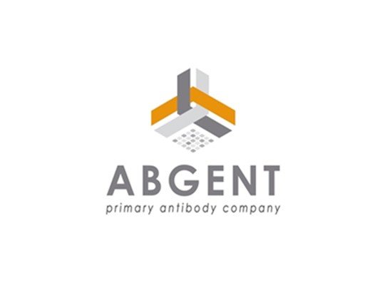 Abgent (USA)