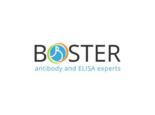 Boster Biologicals (USA)