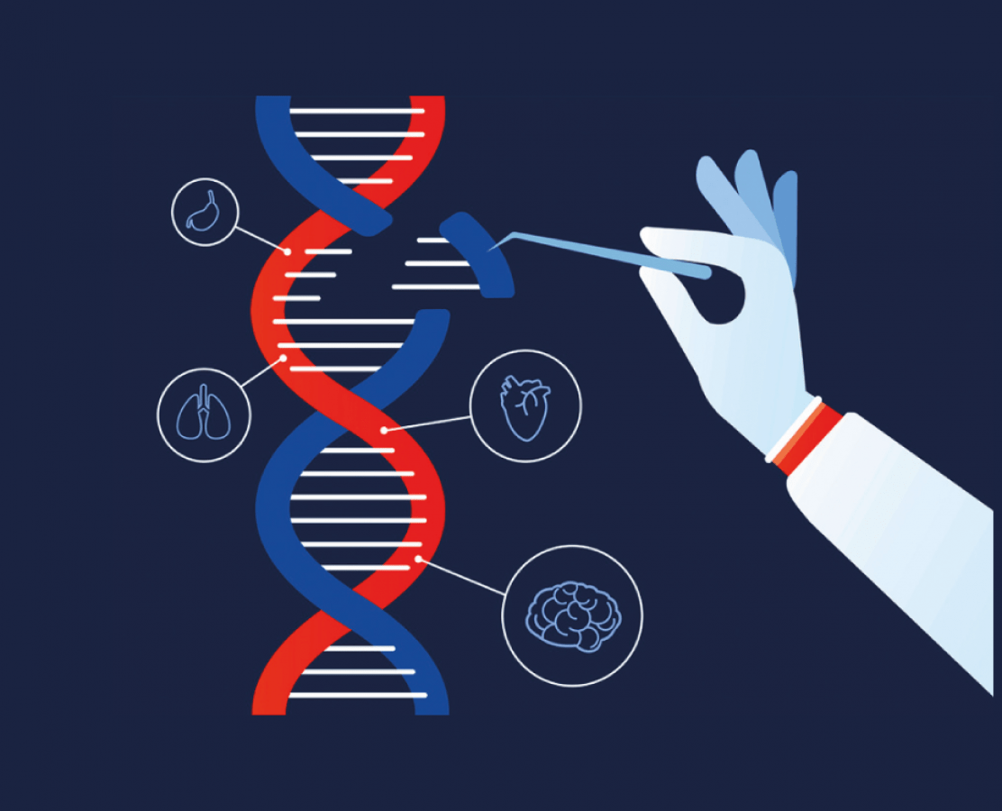 DNA Bisülfit Modifikasyon Kitleri