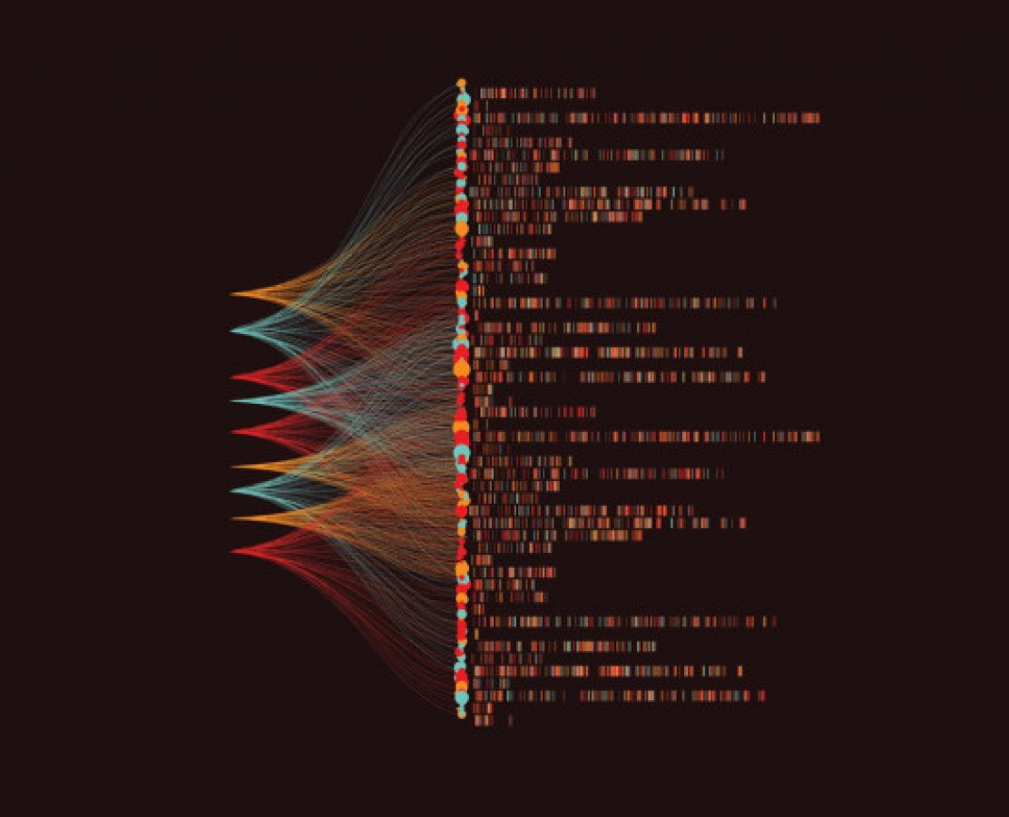 Next-Gen Sequencing Library Prep