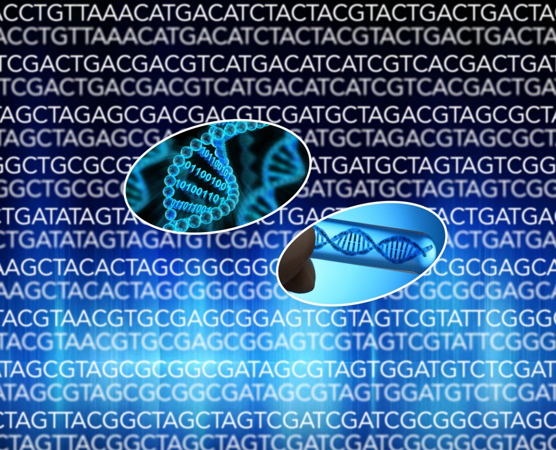 DNA Sequencing Clean-up